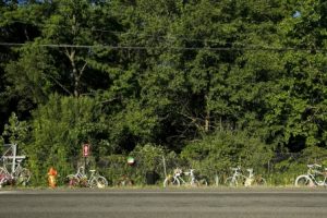 Kalamazoo Bicycle Accident